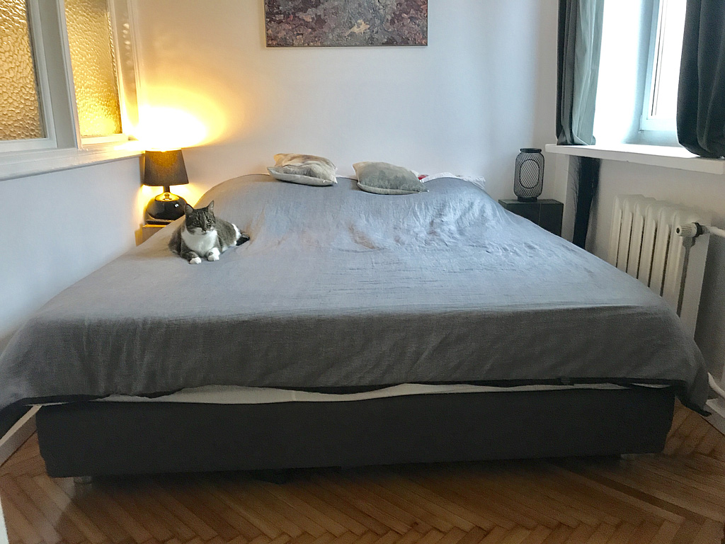 Śródmieście, Waryńskiego, 65 m2