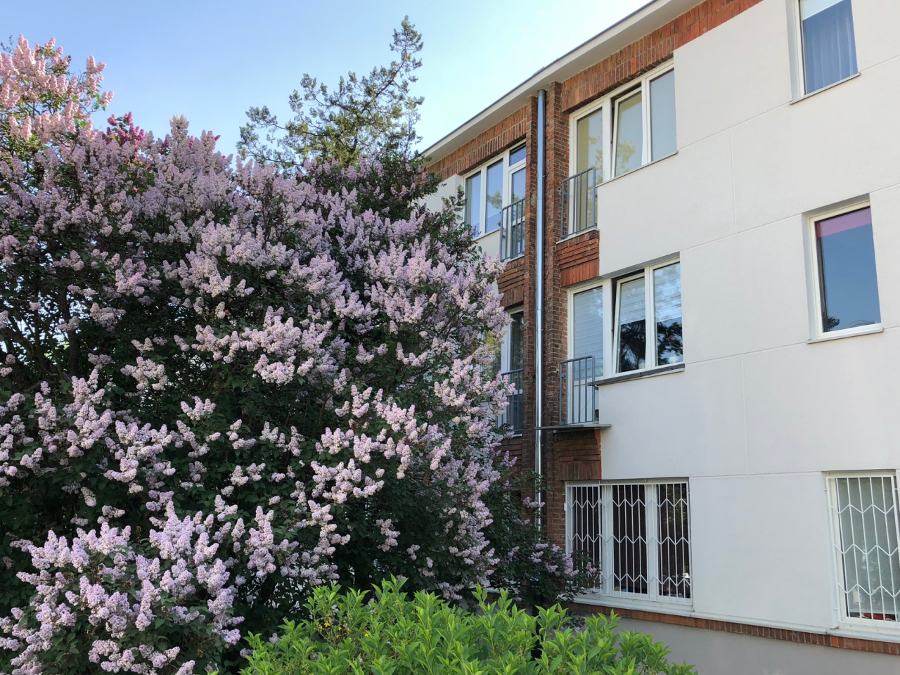 Żoliborz, Próchnika, 24 m2
