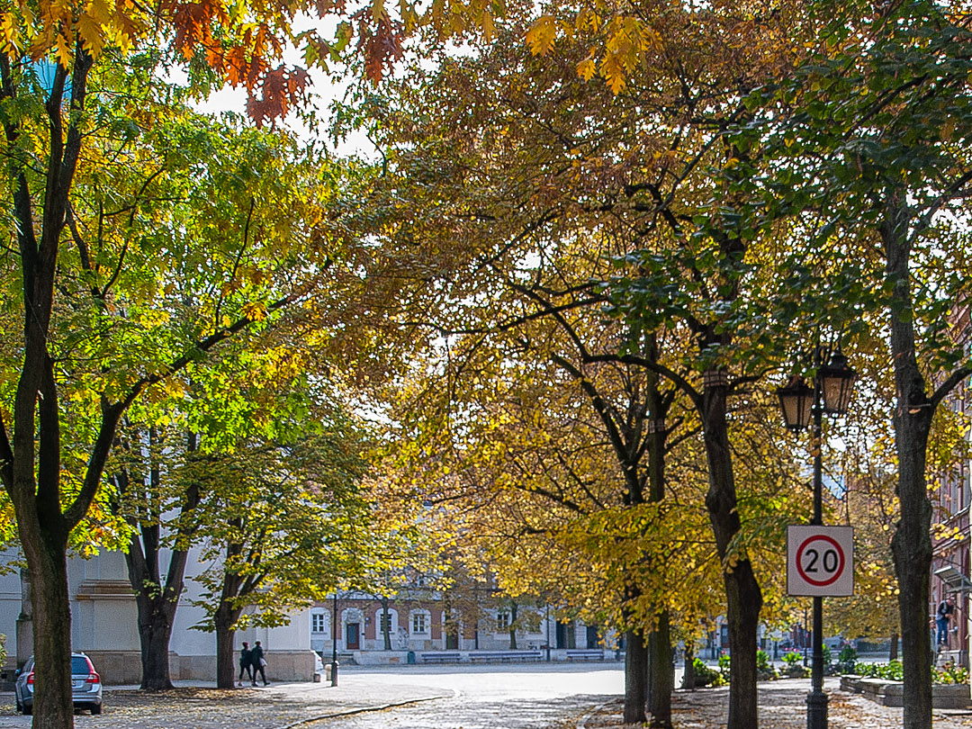 Śródmieście, Rynek Nowego Miasta, 62 m2