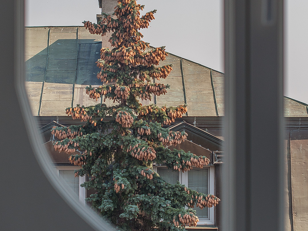 Śródmieście, Rynek Nowego Miasta, 62 m2