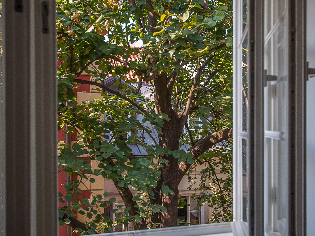 Śródmieście, Rynek Nowego Miasta, 62 m2