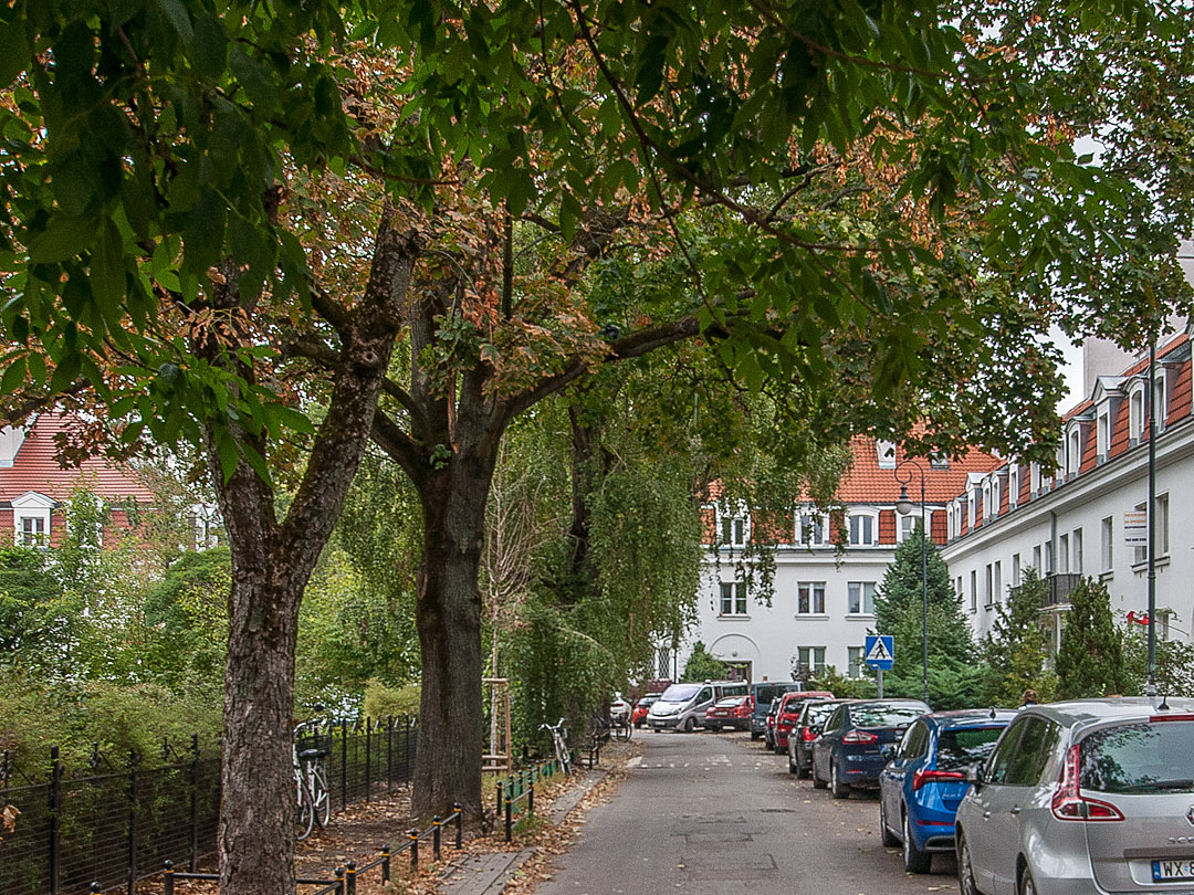 Żoliborz, Wyspiańskiego, 45,15 m2