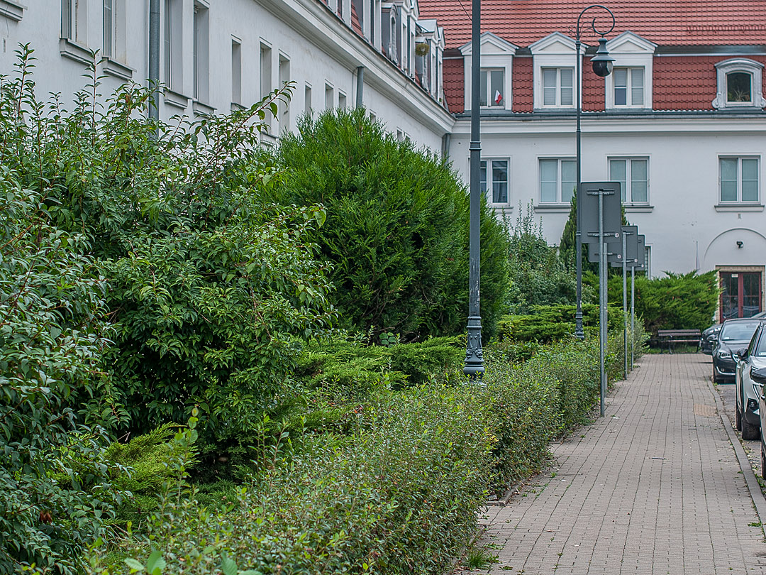 Żoliborz, Wyspiańskiego, 45,15 m2