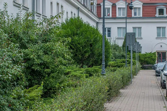 Żoliborz, Wyspiańskiego, 45,15 m2
